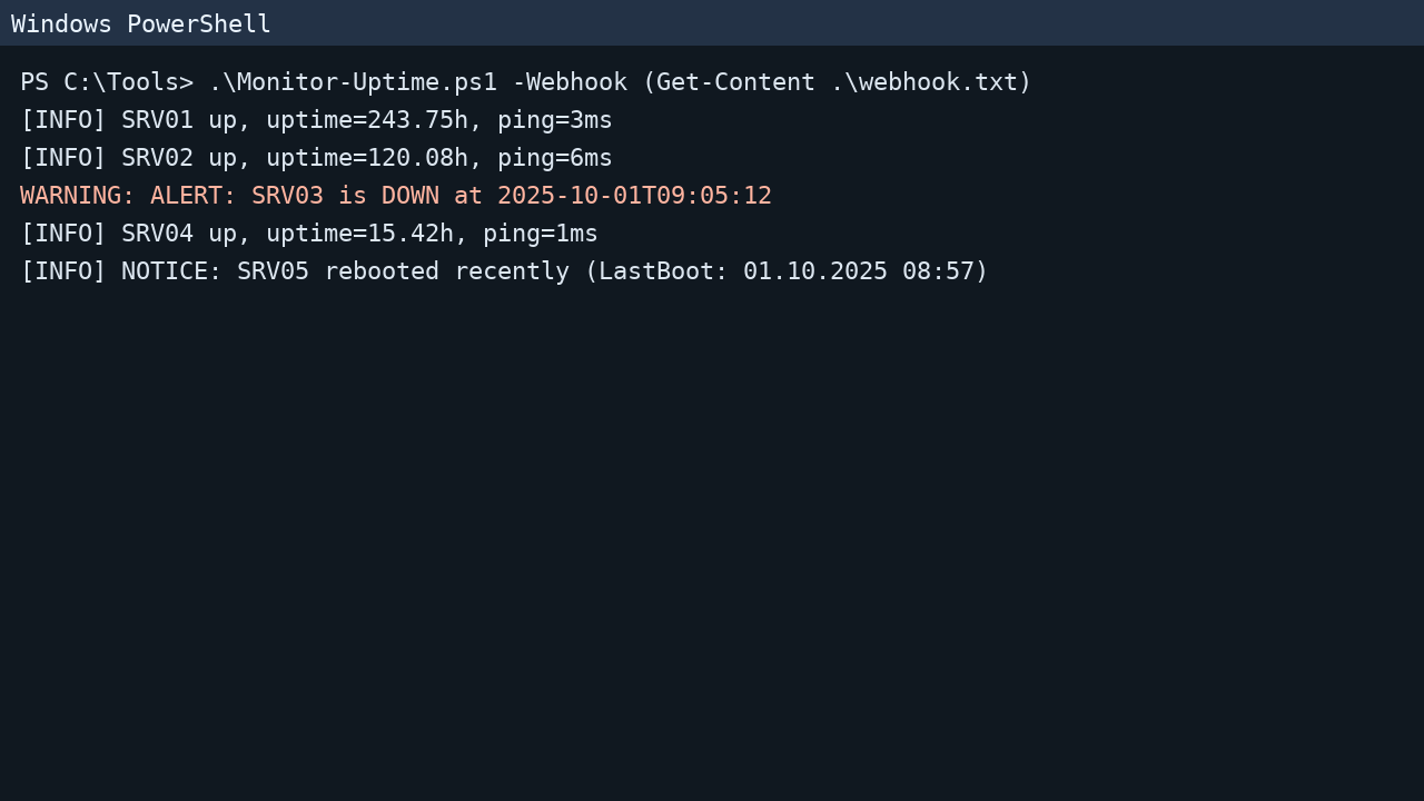 PowerShell run sample output
